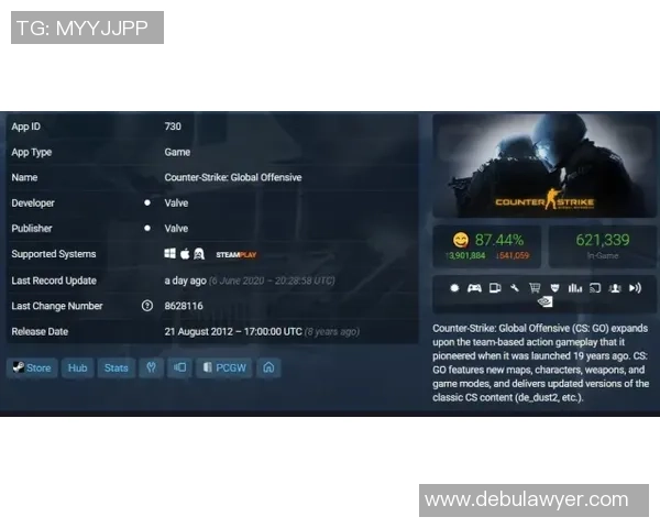 CS_GO深度:解密WE的防守
