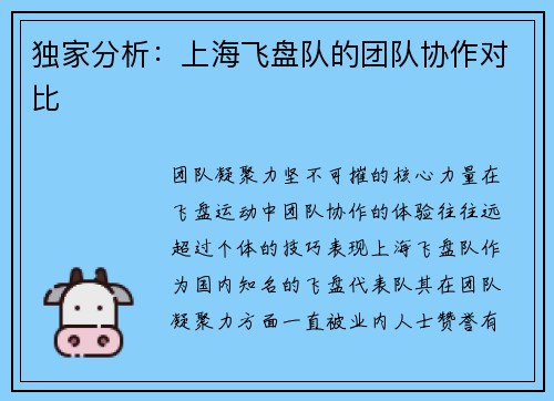 独家分析：上海飞盘队的团队协作对比